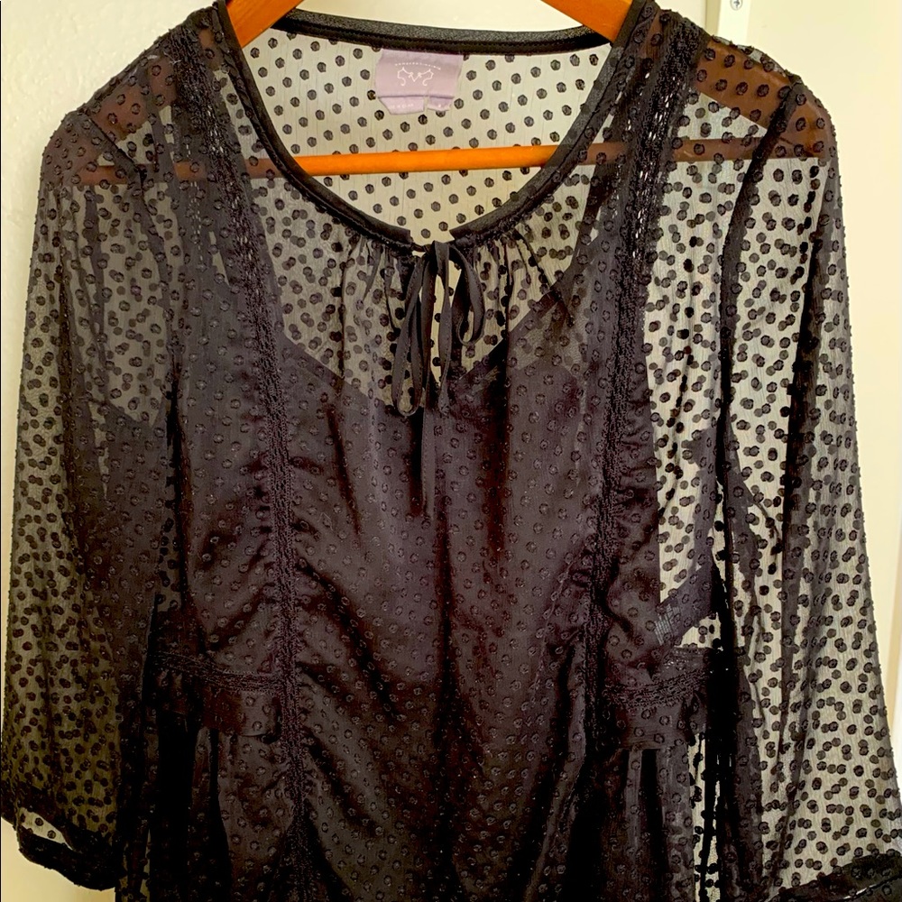 Anthropologie Blouse in black sheer Swiss dot Sz 2